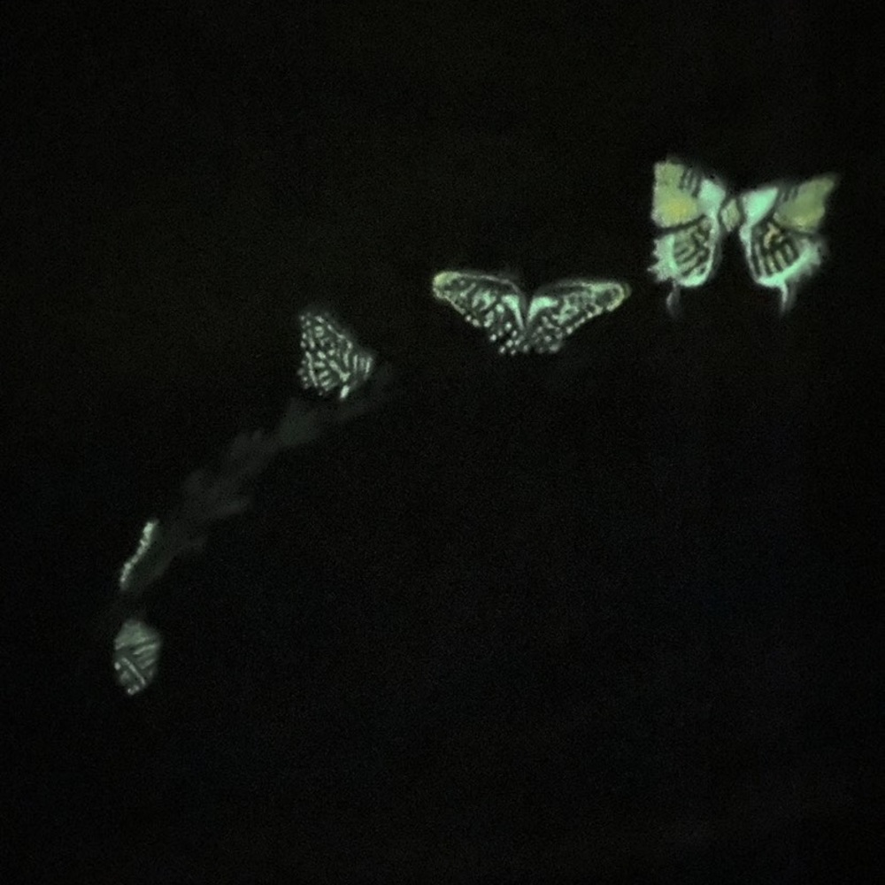 Custom Painted Jean Jacket - image 3